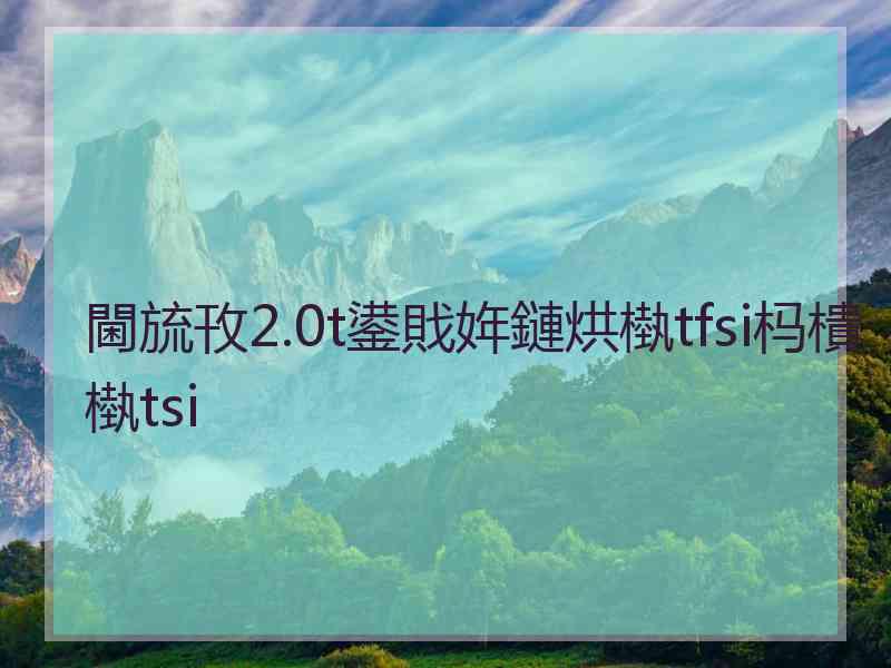 閫旈攼2.0t鍙戝姩鏈烘槸tfsi杩樻槸tsi