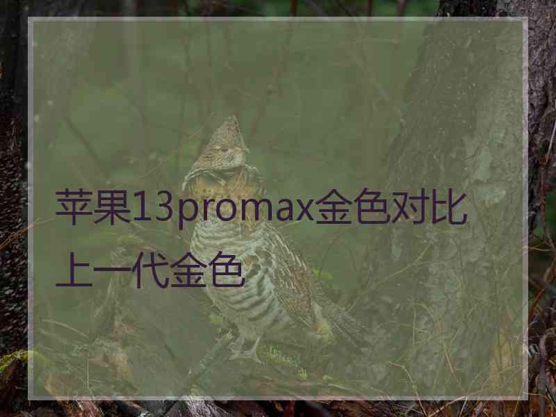 苹果13promax金色对比上一代金色