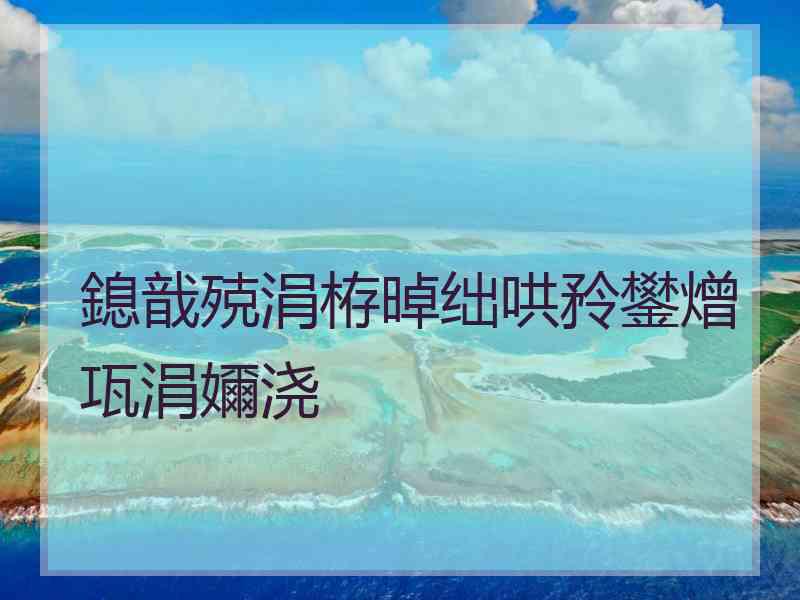 鎴戠殑涓栫晫绌哄矝鐢熷瓨涓嬭浇