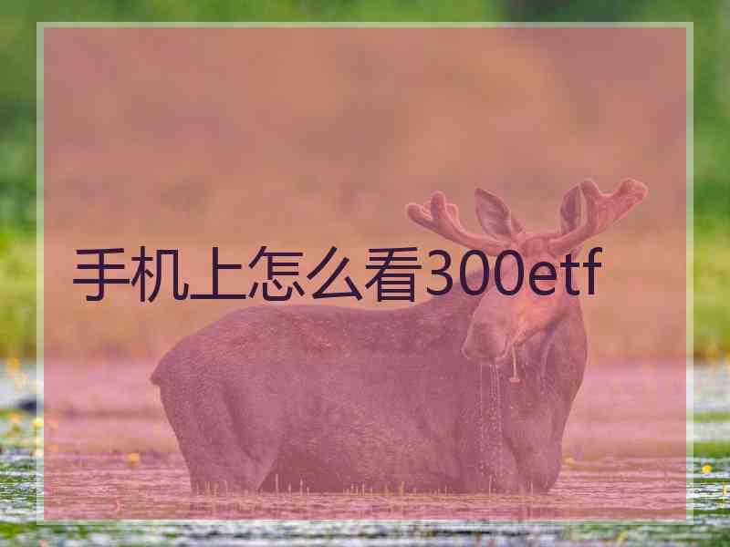 手机上怎么看300etf