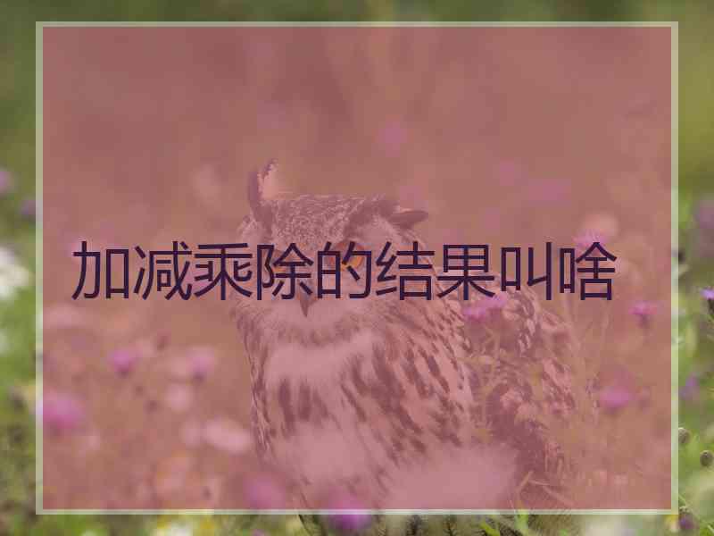 加减乘除的结果叫啥