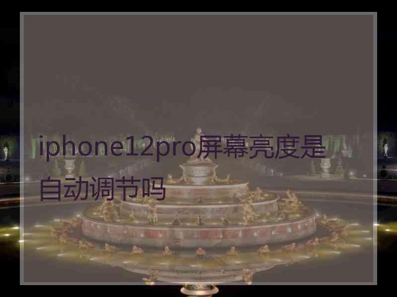 iphone12pro屏幕亮度是自动调节吗