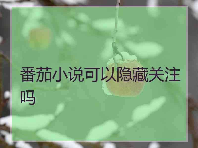 番茄小说可以隐藏关注吗