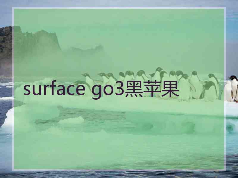 surface go3黑苹果