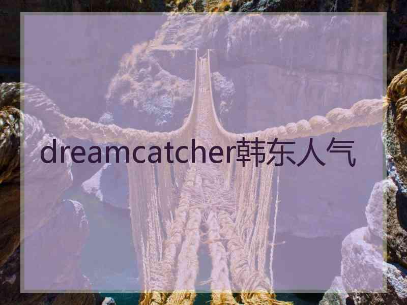 dreamcatcher韩东人气