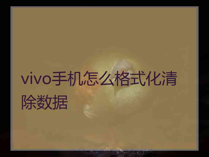 vivo手机怎么格式化清除数据