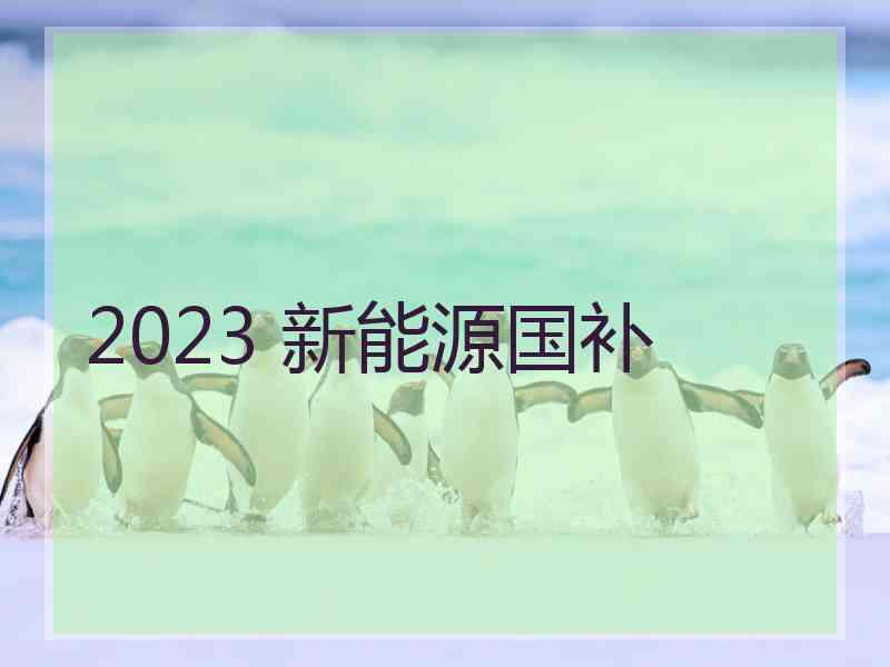 2023 新能源国补