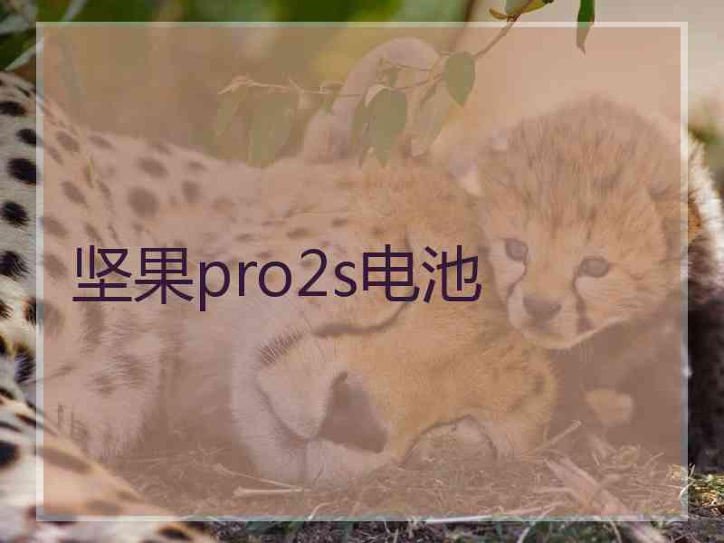 坚果pro2s电池