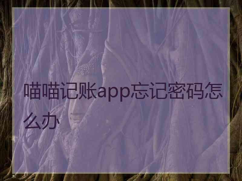 喵喵记账app忘记密码怎么办