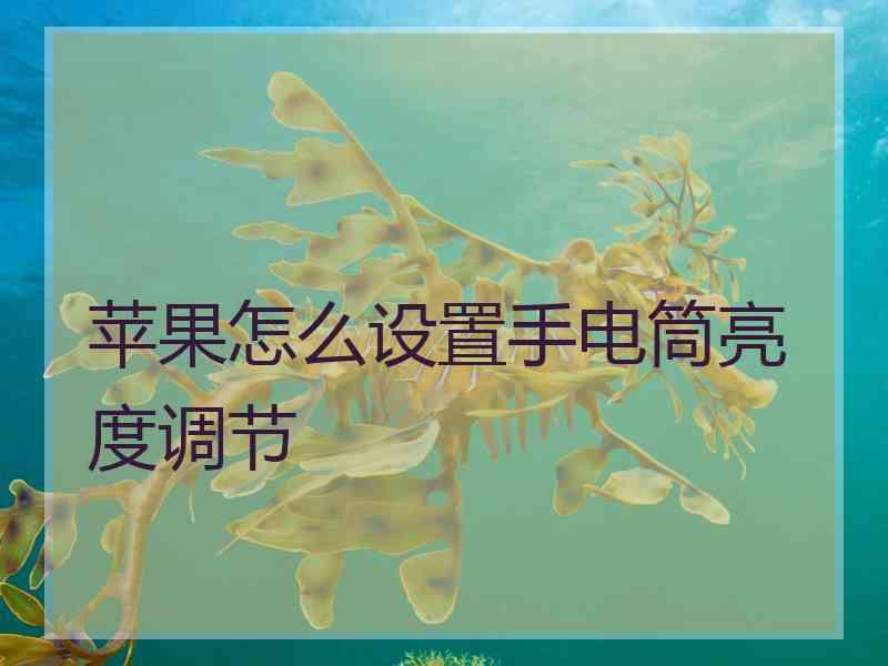 苹果怎么设置手电筒亮度调节