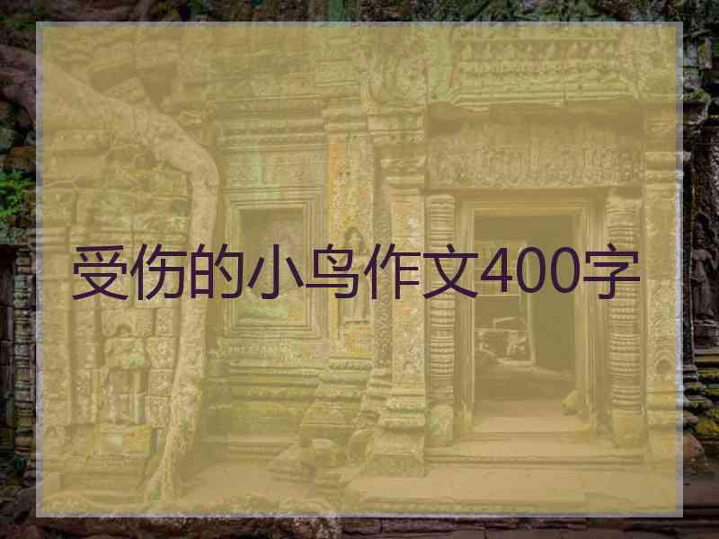 受伤的小鸟作文400字