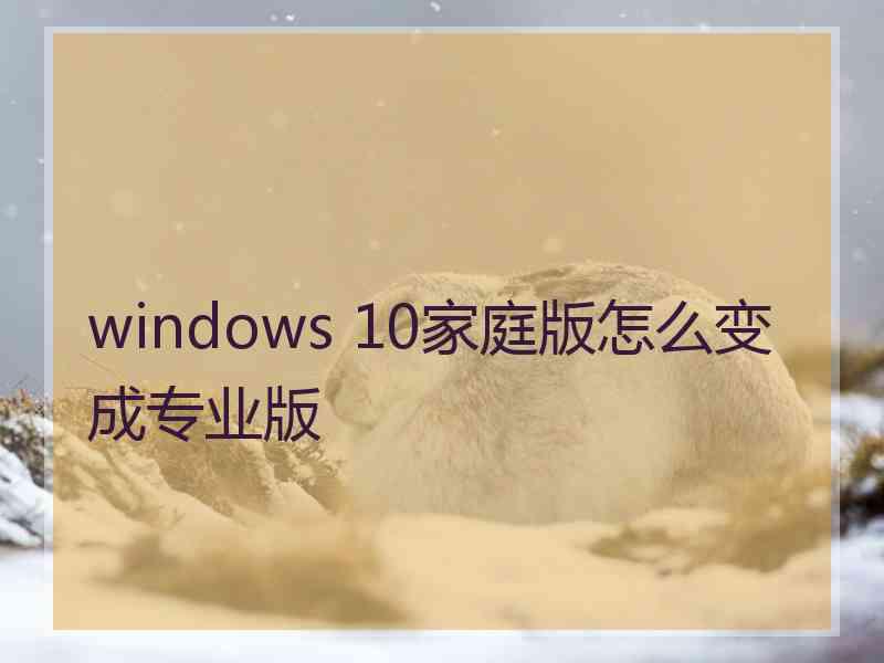 windows 10家庭版怎么变成专业版