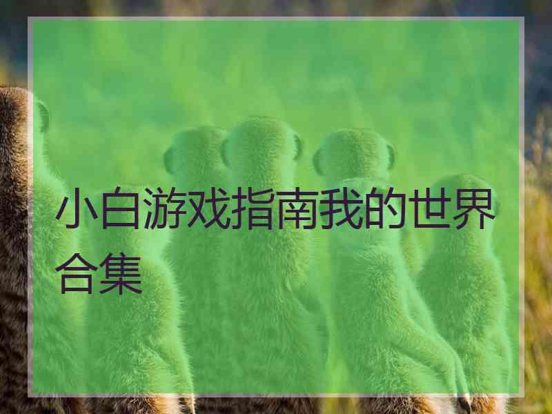 小白游戏指南我的世界合集