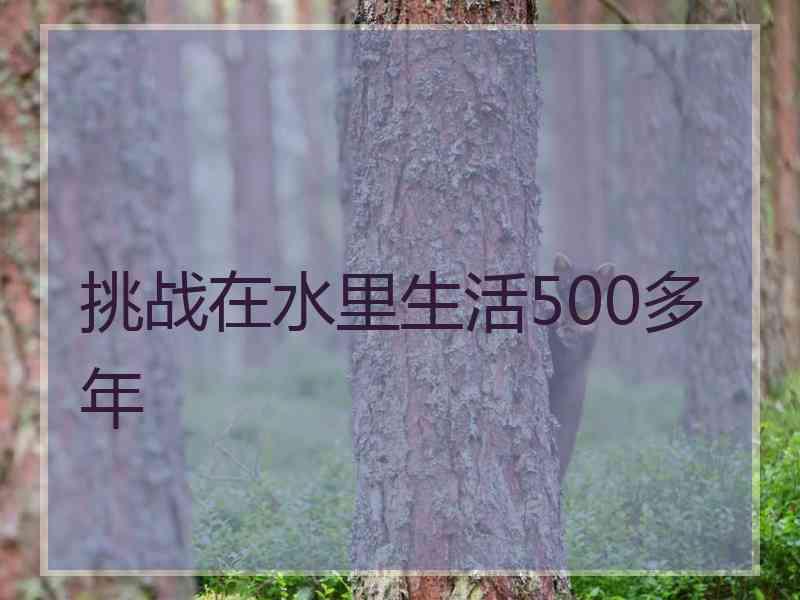 挑战在水里生活500多年