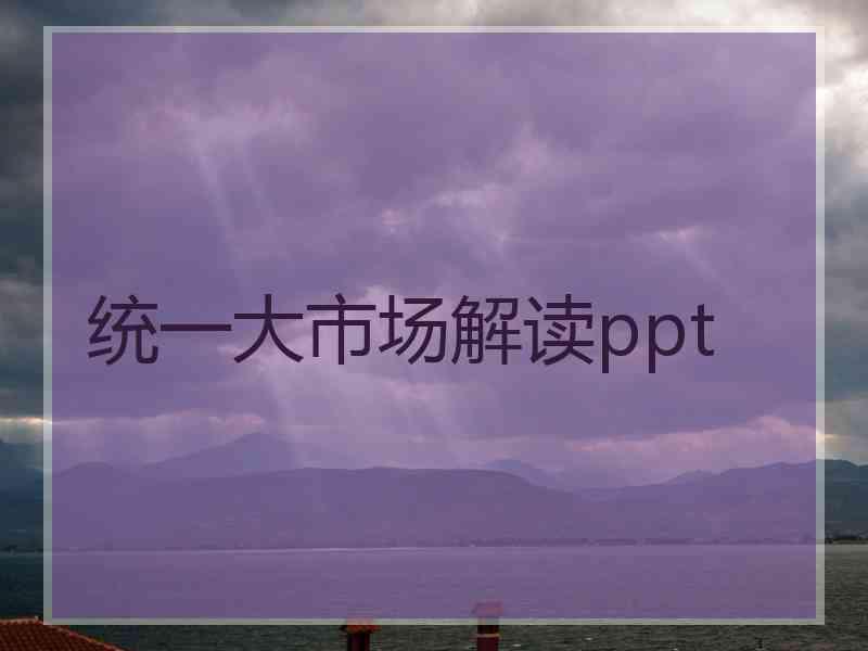 统一大市场解读ppt