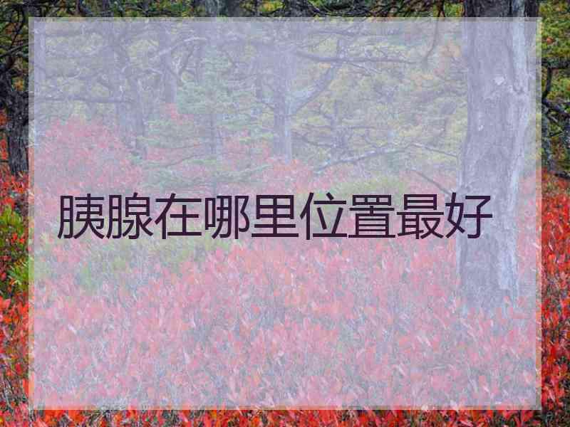 胰腺在哪里位置最好