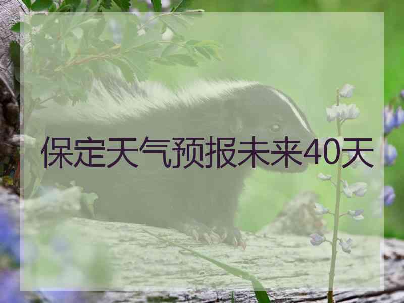 保定天气预报未来40天