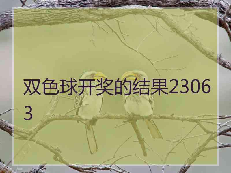 双色球开奖的结果23063