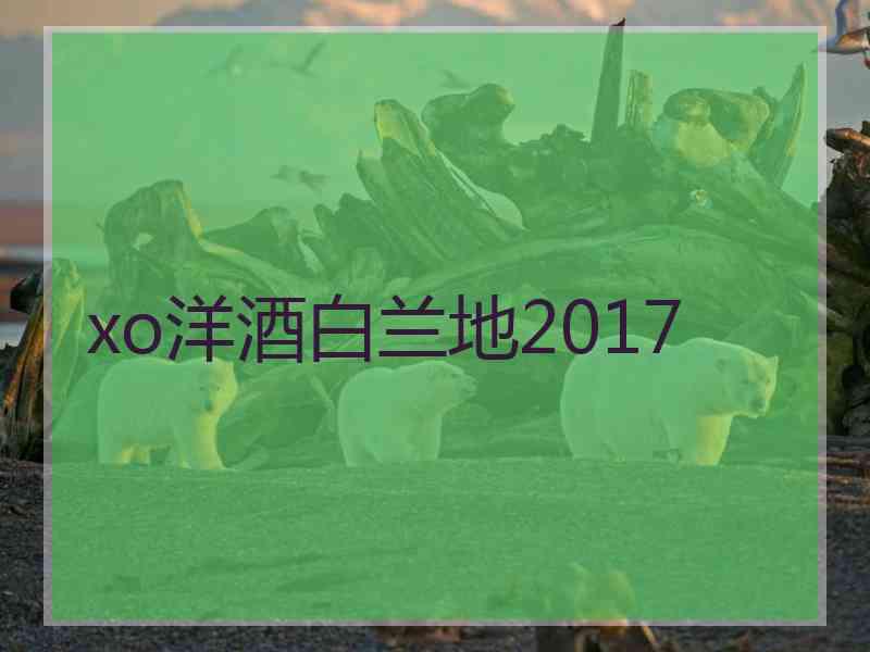 xo洋酒白兰地2017