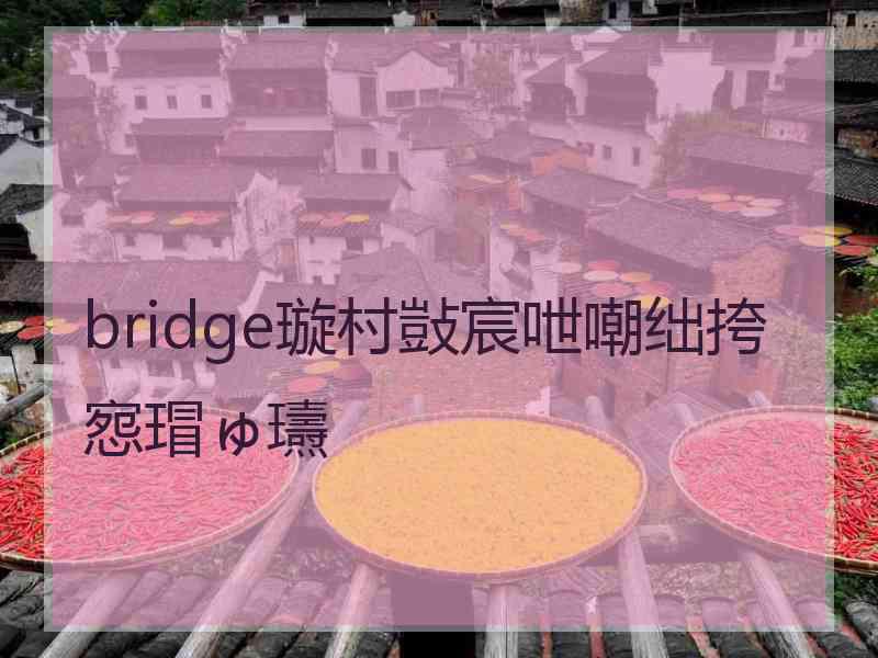 bridge璇村敱宸呭嘲绌挎惌瑁ゅ瓙