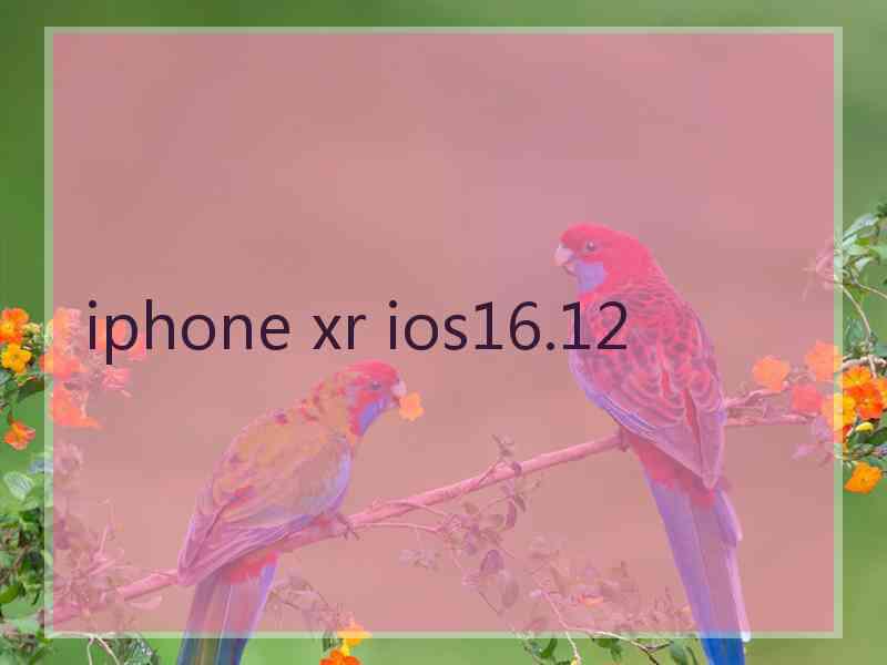 iphone xr ios16.12