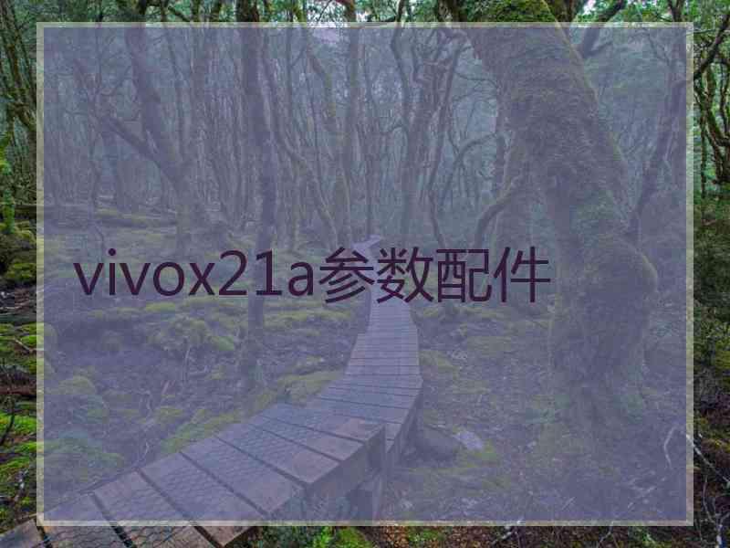 vivox21a参数配件