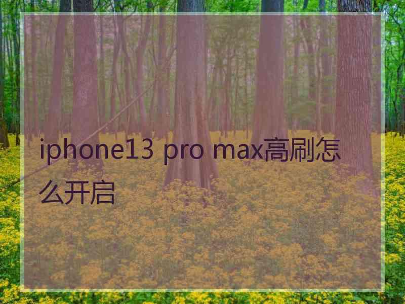 iphone13 pro max高刷怎么开启