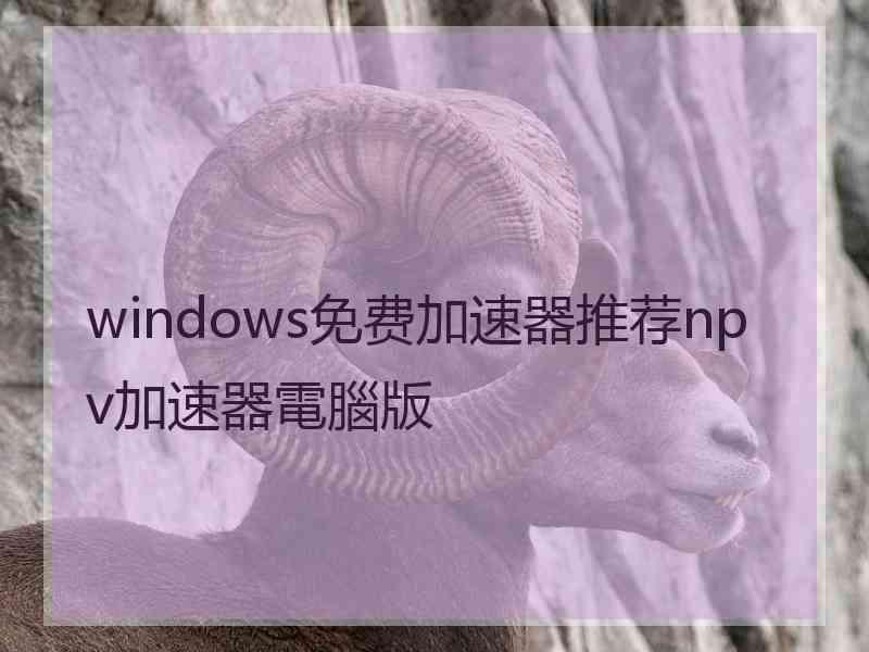 windows免费加速器推荐npv加速器電腦版