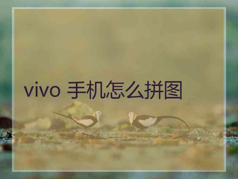 vivo 手机怎么拼图