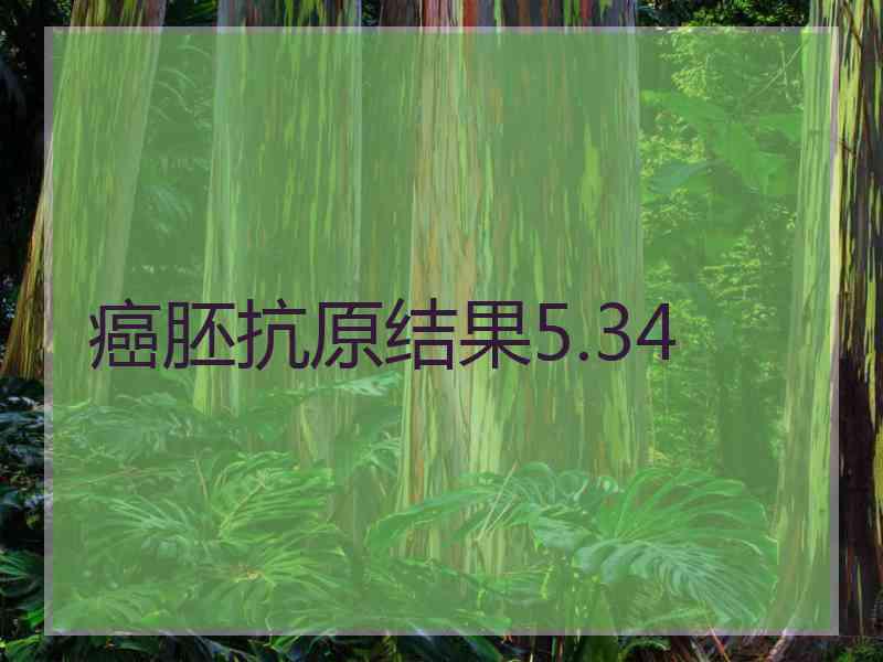 癌胚抗原结果5.34