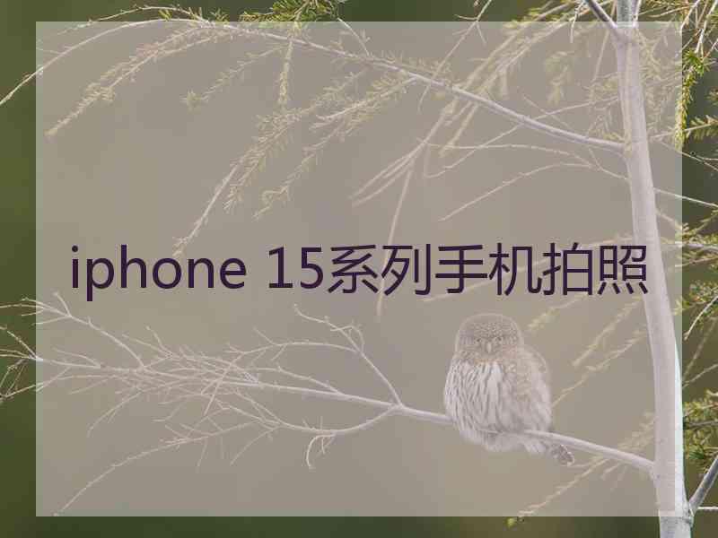 iphone 15系列手机拍照