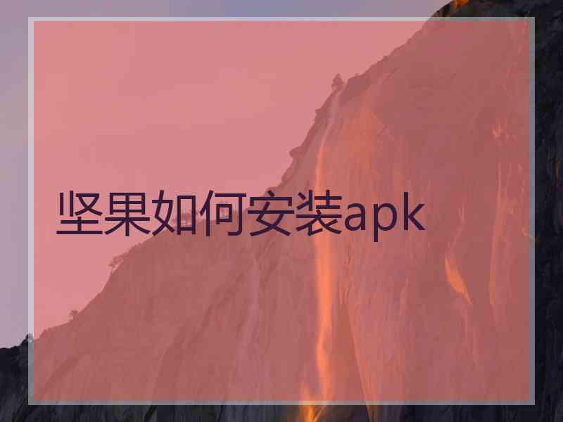 坚果如何安装apk