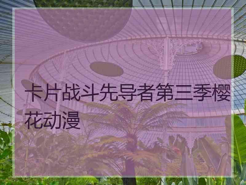 卡片战斗先导者第三季樱花动漫