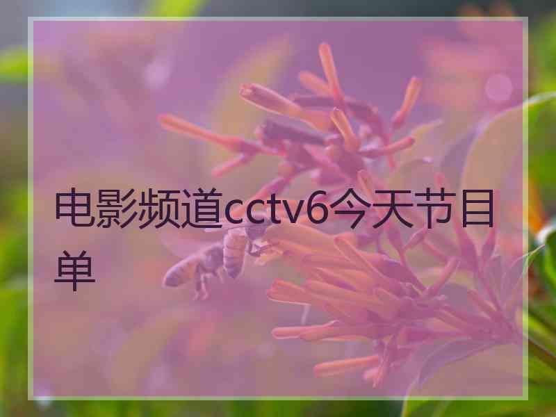 电影频道cctv6今天节目单