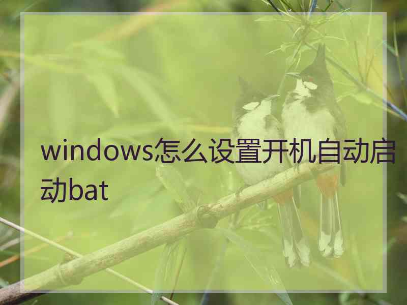 windows怎么设置开机自动启动bat