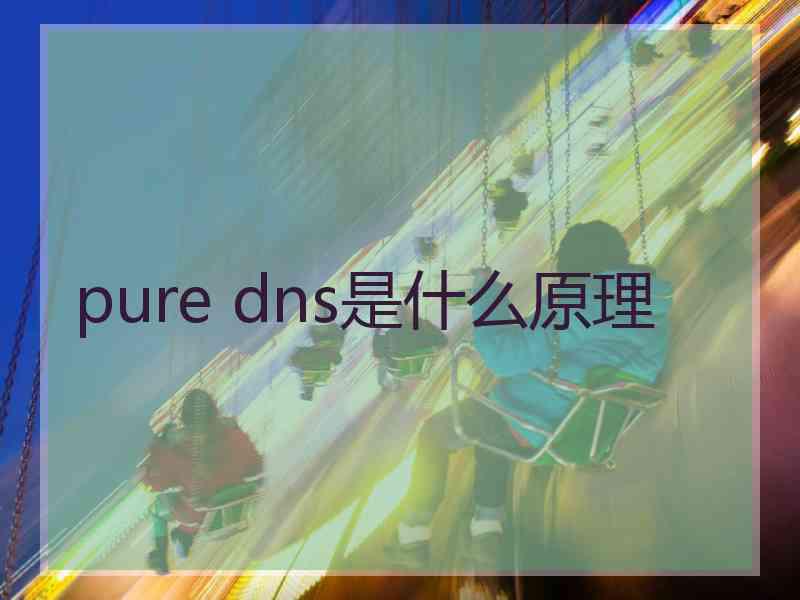 pure dns是什么原理