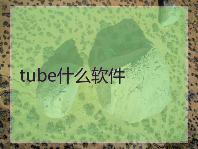 tube什么软件