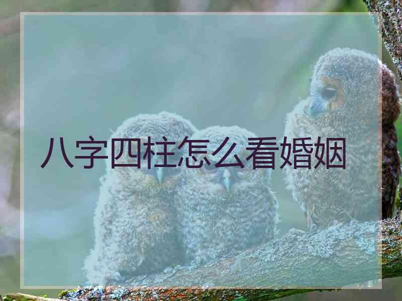 八字四柱怎么看婚姻