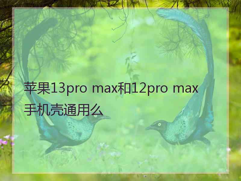 苹果13pro max和12pro max手机壳通用么