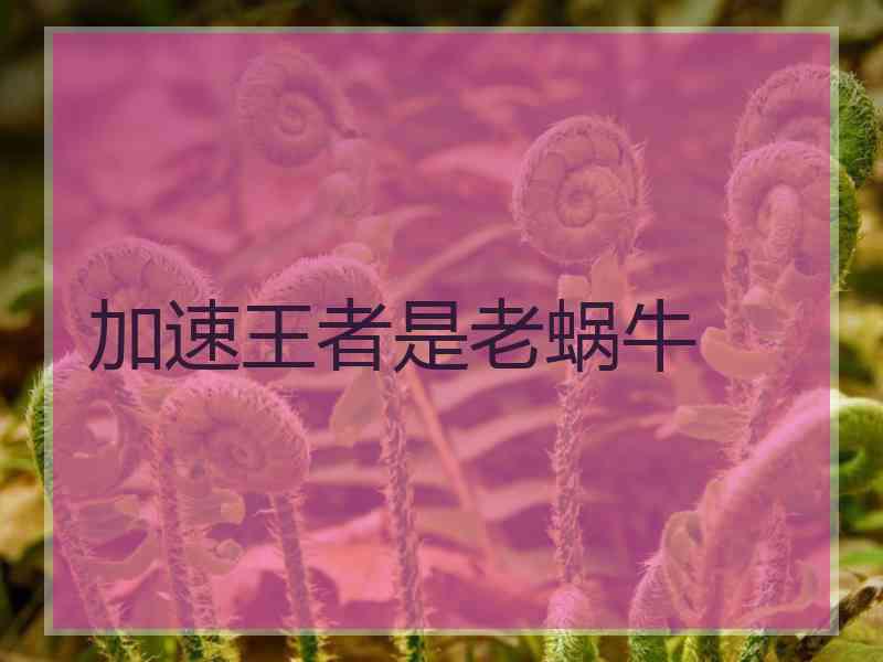 加速王者是老蜗牛