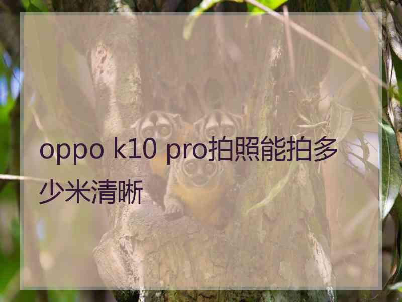 oppo k10 pro拍照能拍多少米清晰