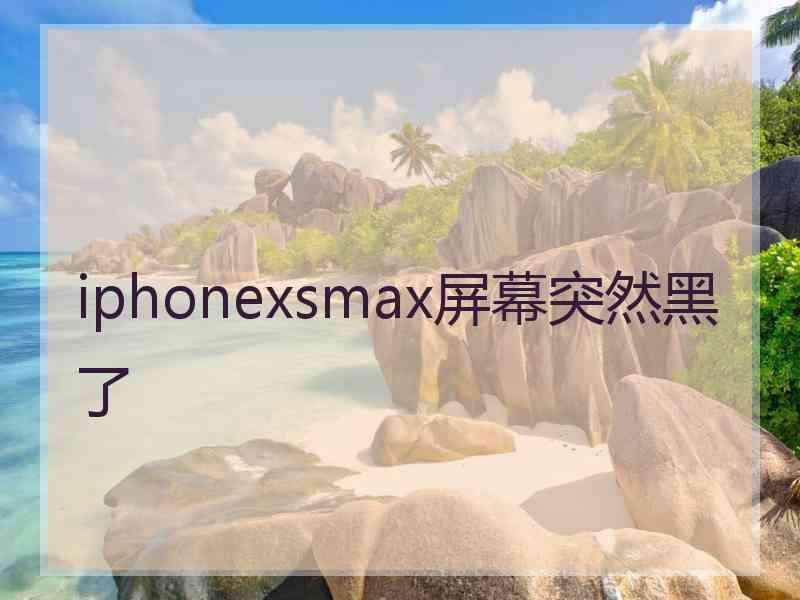 iphonexsmax屏幕突然黑了