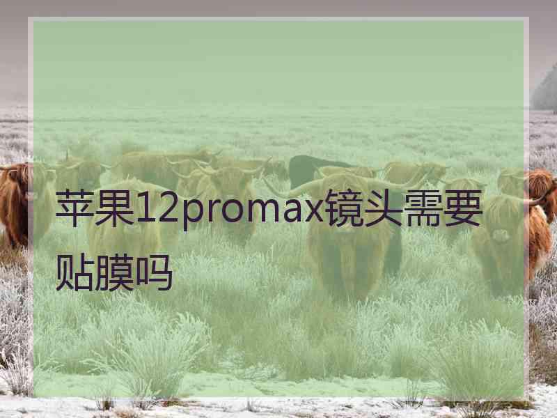 苹果12promax镜头需要贴膜吗