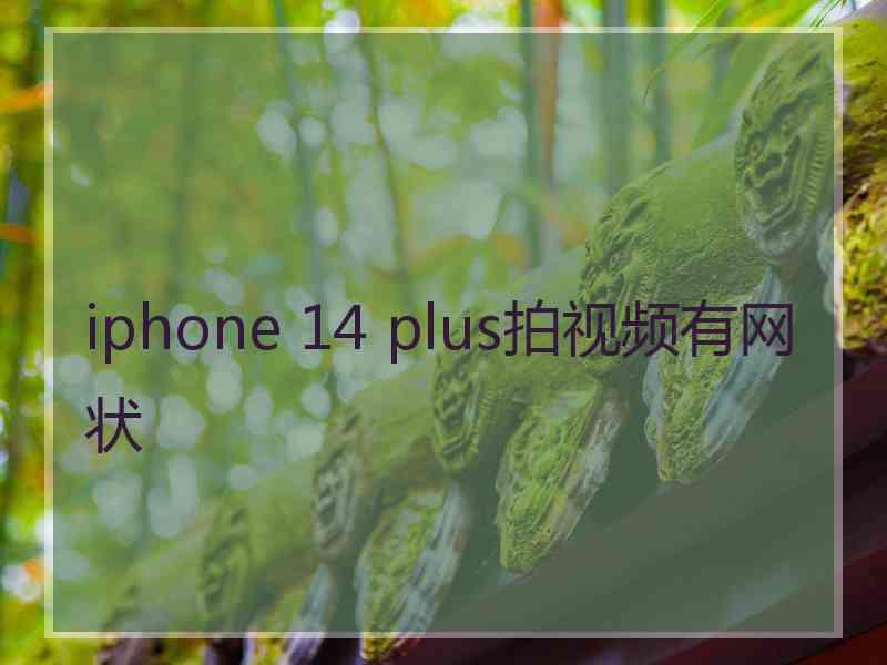 iphone 14 plus拍视频有网状