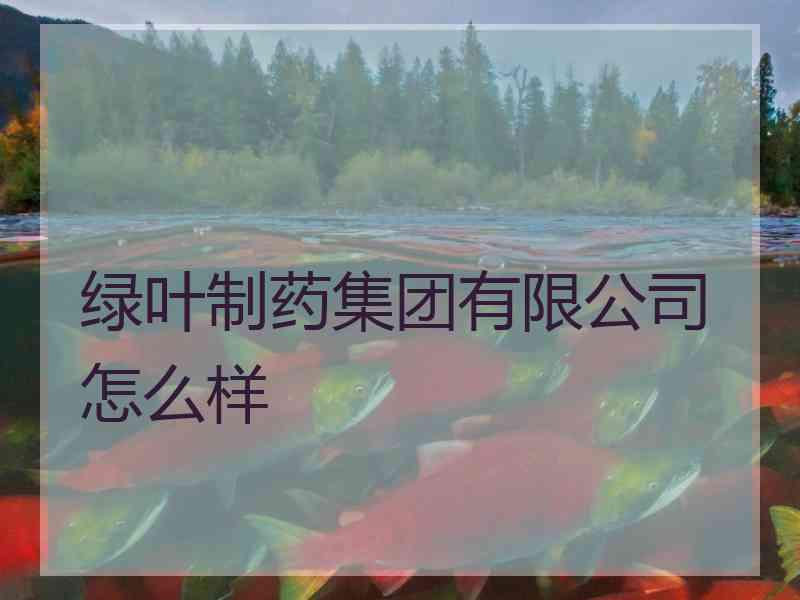 绿叶制药集团有限公司怎么样