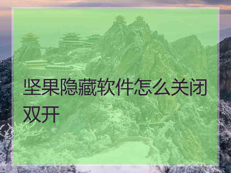 坚果隐藏软件怎么关闭双开