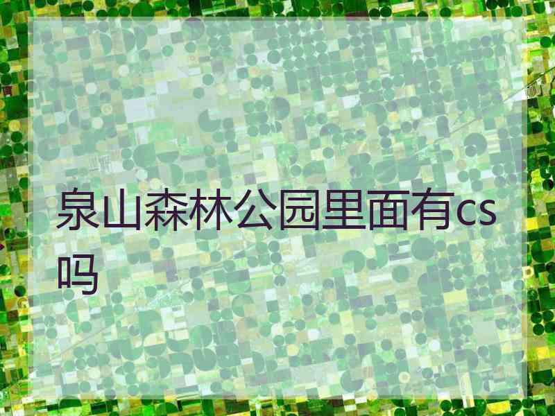 泉山森林公园里面有cs吗