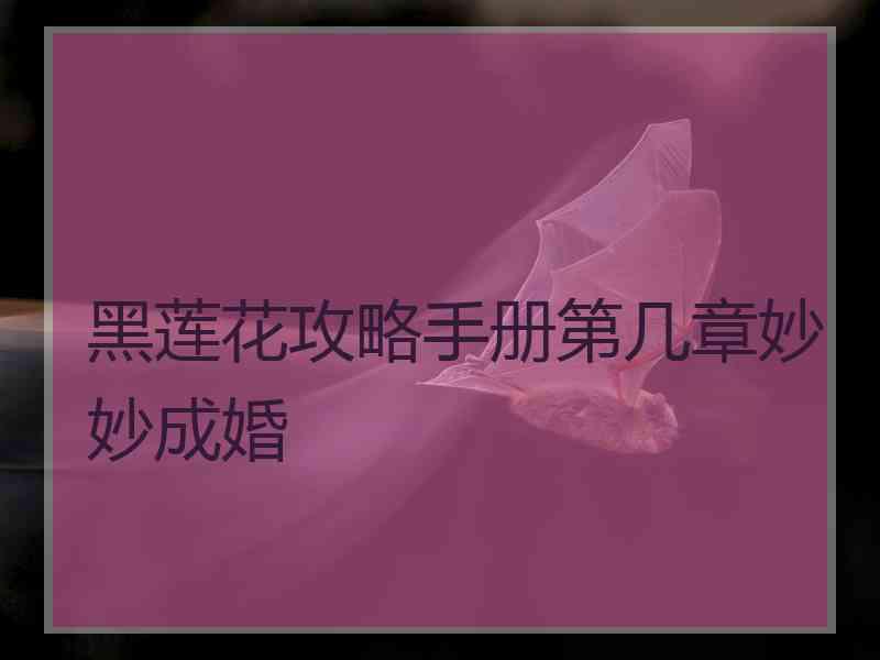 黑莲花攻略手册第几章妙妙成婚