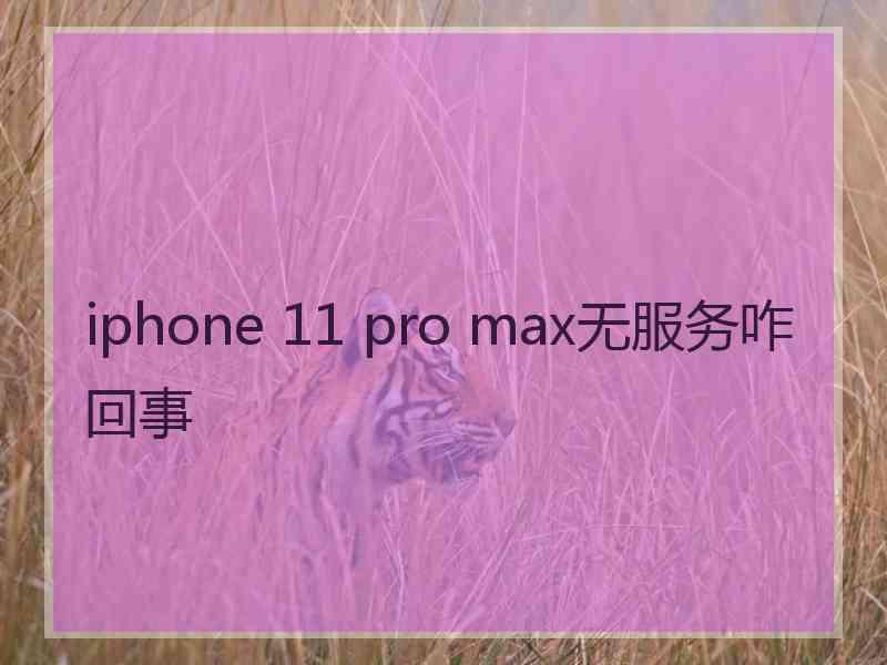 iphone 11 pro max无服务咋回事