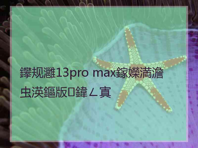 鑻规灉13pro max鎵嬫満澹虫渶鏂版鍏ㄥ寘